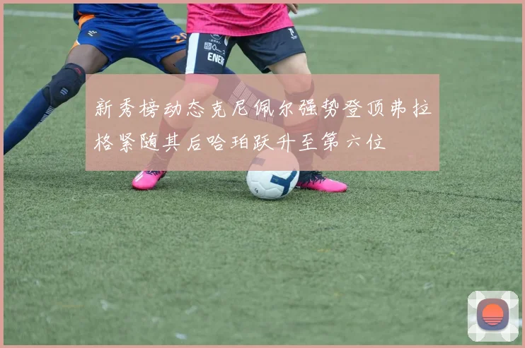 新秀榜动态克尼佩尔强势登顶弗拉格紧随其后哈珀跃升至第六位